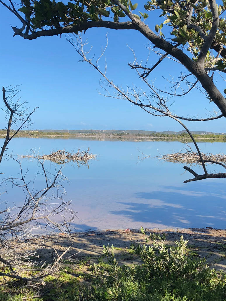 Untitled by CreativeFandomMinds Untitled by CreativeFandomMinds