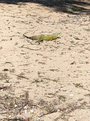 Untitled by CreativeFandomMinds Untitled by CreativeFandomMinds