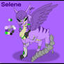 SketchQuest: Selene, the Earth Mage Ref