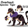 BNHA: Overhaul Ref (Animal AU)