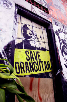 Save Orangutan street poster