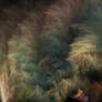 Fuzzy fractal texture