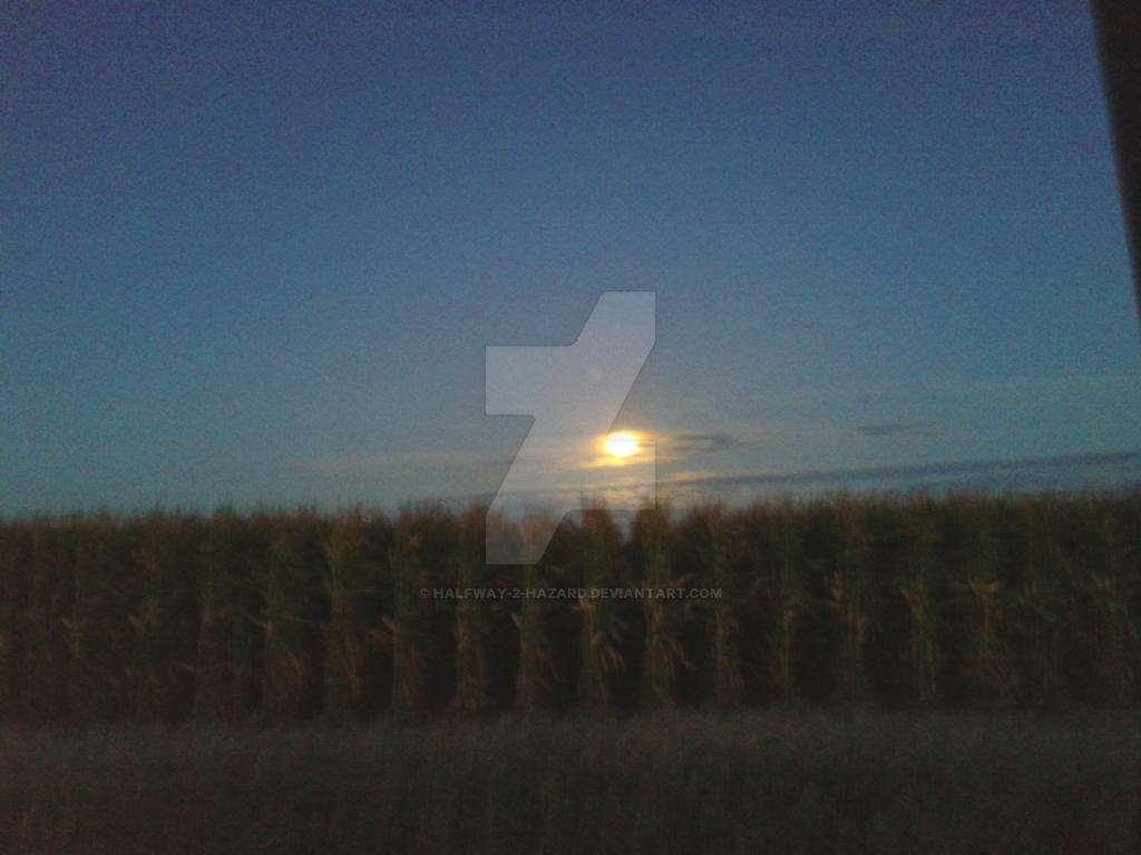 Moonlight Cornfields Cornfields by Moonlight by Halfway-2-Hazard on DeviantArt