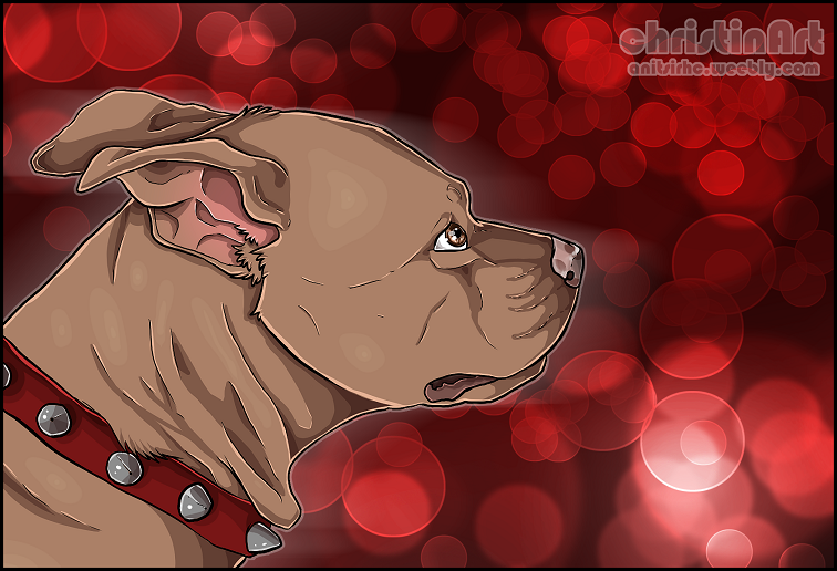 rednose pitbull by chrizka on deviantart