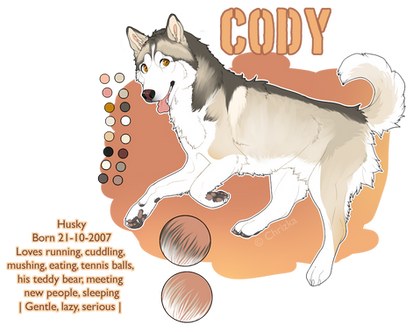 Cody reference sheet NEW