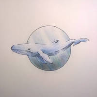 Whale