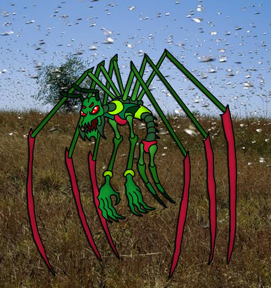 Pseint Insecto Insecto by Moheart7 on DeviantArt