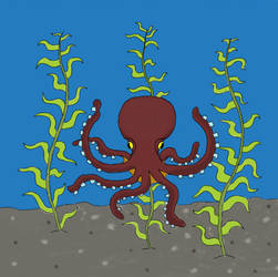 Octopus Colored