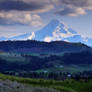 Mt Hood - Hood River Valley II