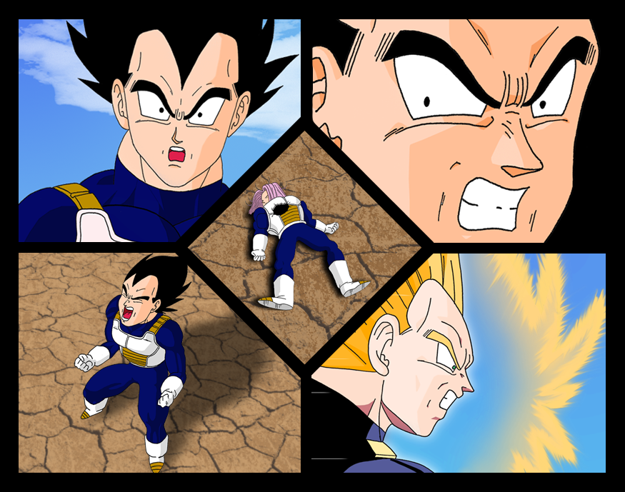 Vegeta's feelings