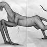 Long