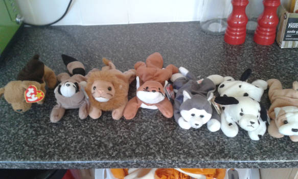 Ty beanie babies for sale (all available)