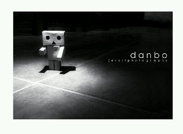 My Real Danbo I