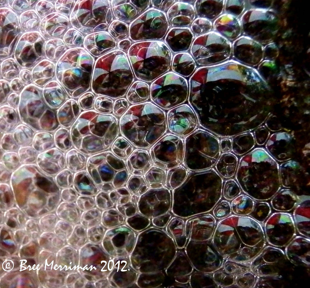 Native Bubbles by BreeSpawn
