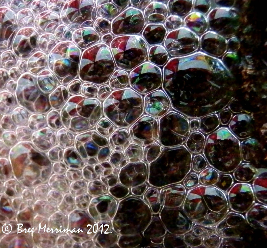 Native Bubbles by BreeSpawn