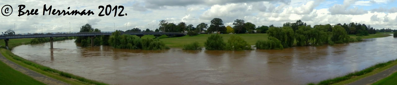 Hunter River Panorama