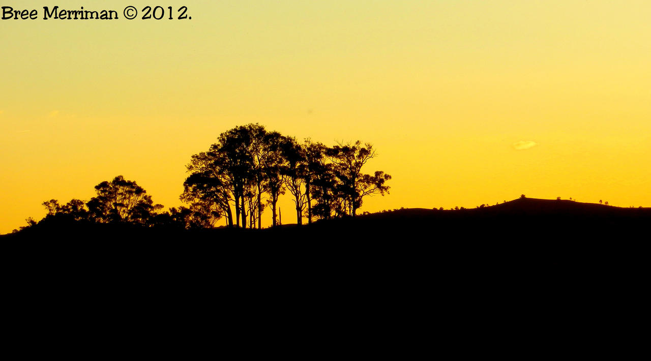 Yellow Landscape