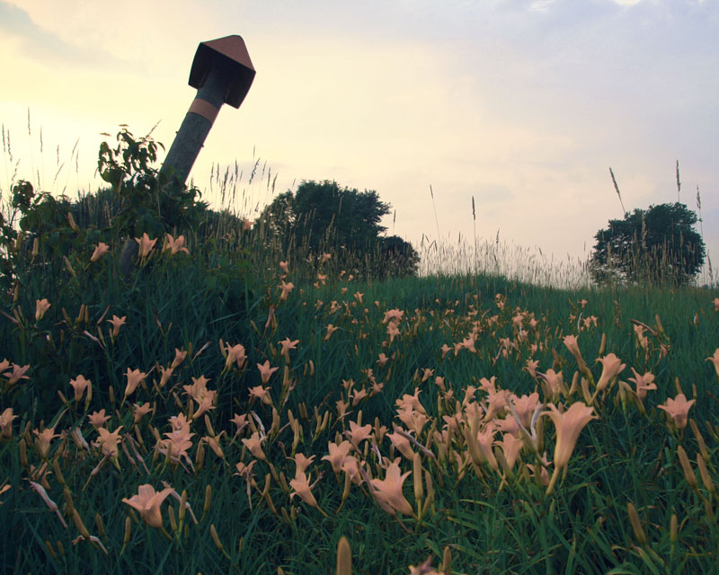 Field of Dreams