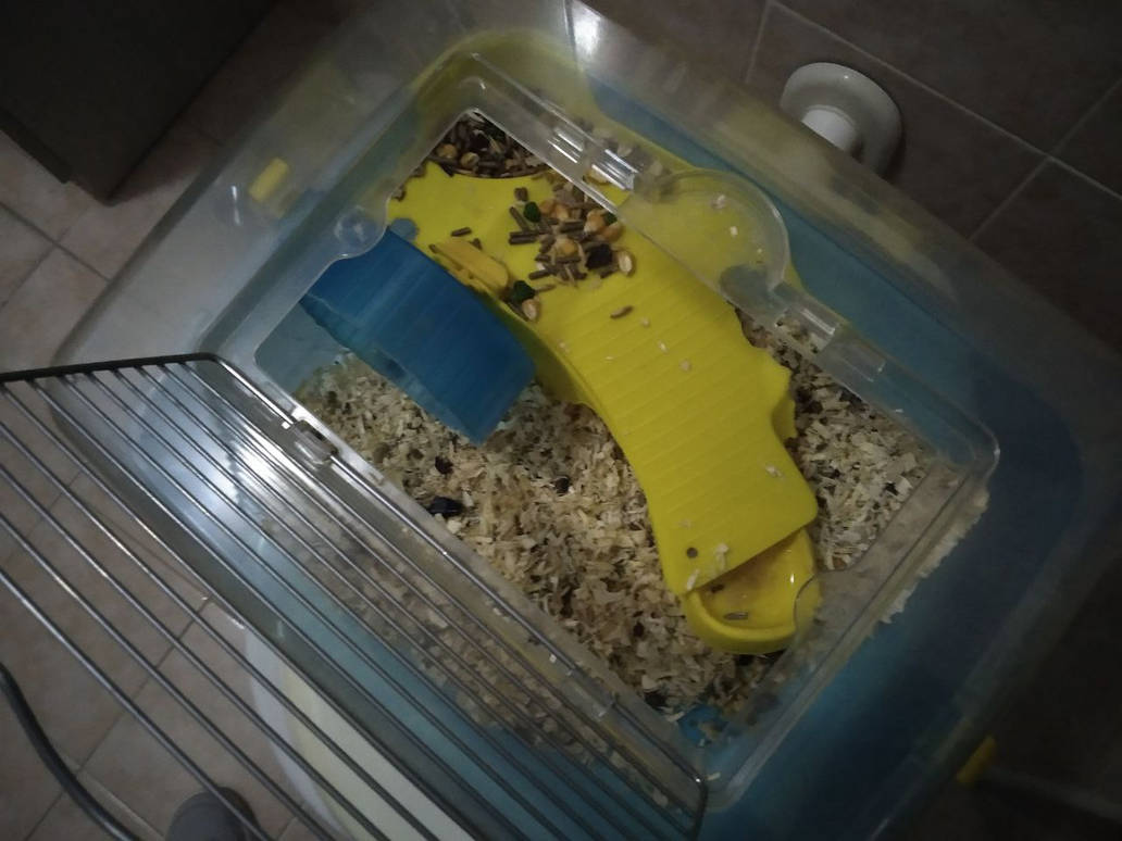 Photo 2022-04-21 15-17-39 (2) by MayaPatch