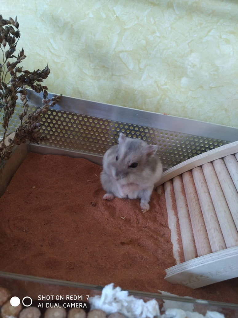 Img 20221023 094515 by MayaPatch