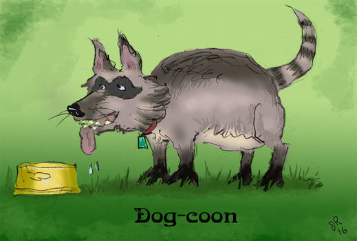 Dog-coon