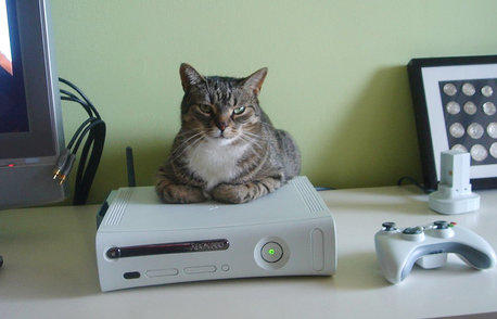 Xbox Cat By Tkasabov2 On DeviantArt xbox-cat-by-tkasabov2-on-deviantart