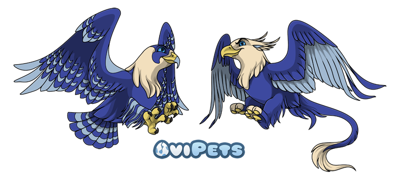 Ovipets- Haliaeetus