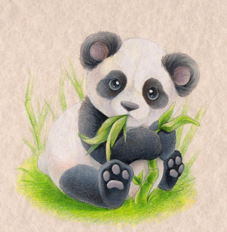 Panda by PixelRaccoon