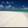 Heron Island