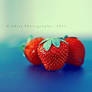 berries....