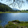 On the lakeside