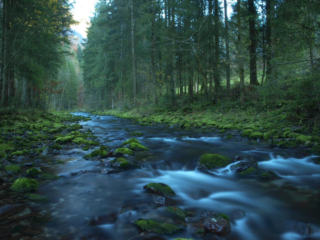 follow the river 1st autumn