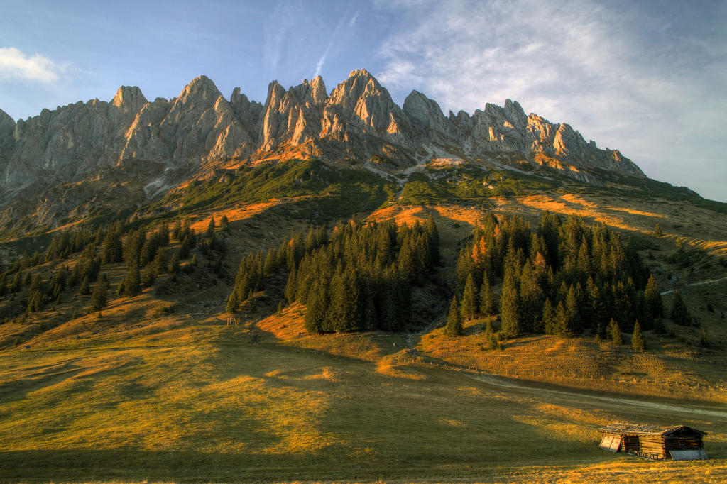 Pines And Peaks