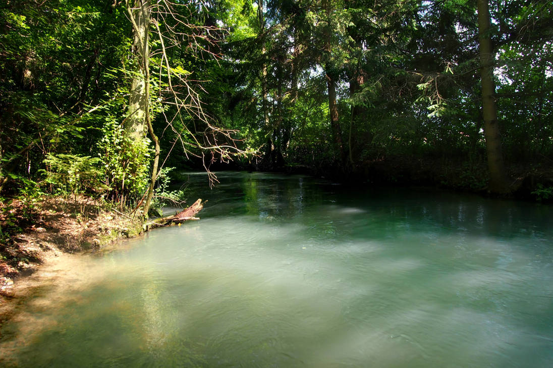 Река джунгли Река джунгли