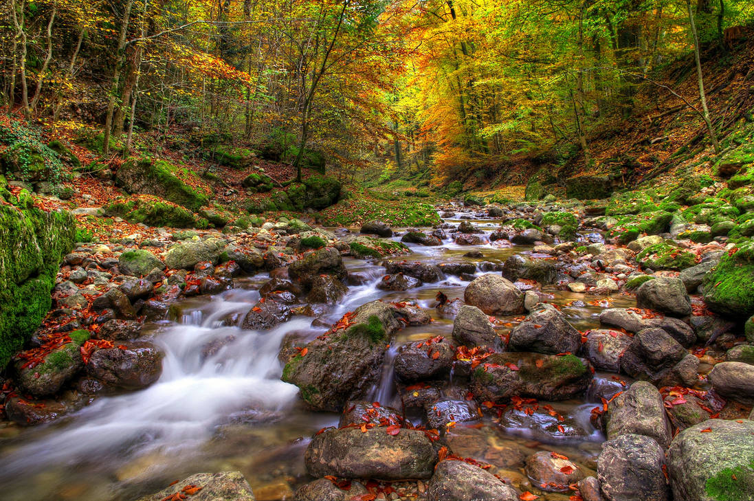 Autumn Forest 2nd by Burtn