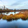 Calm Lake