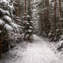 Walking On Snow