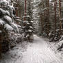 Walking On Snow