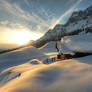 Springtime In Austria