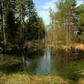 Mudpuddle
