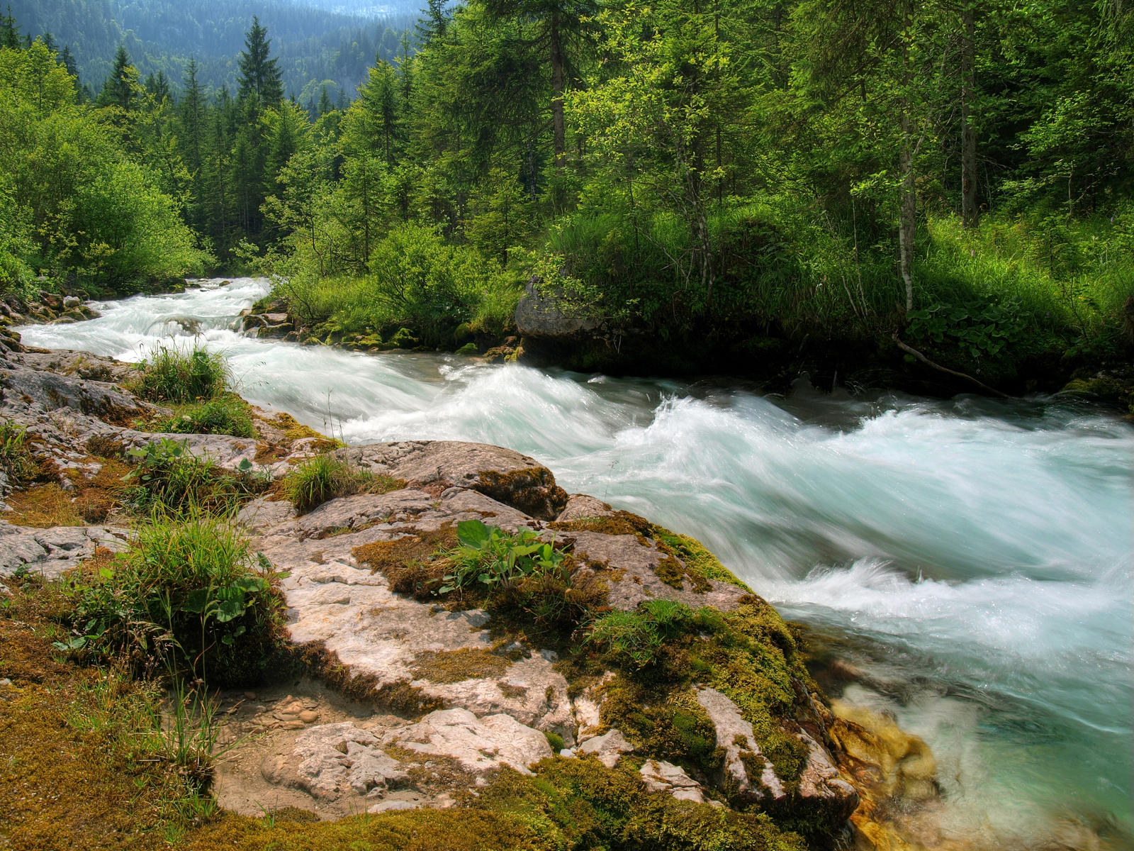 A Place At The River