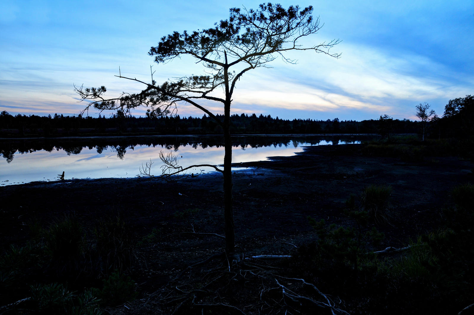 Blue Hour