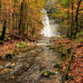 Autumn Forest With Waterfall