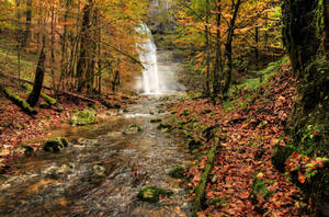 Autumn Forest With Waterfall