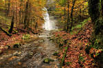 Autumn Forest With Waterfall