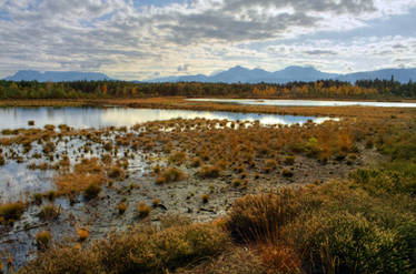 Autumn Moorscape