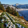 Mountain Melody