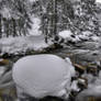 Freezing Riverscape