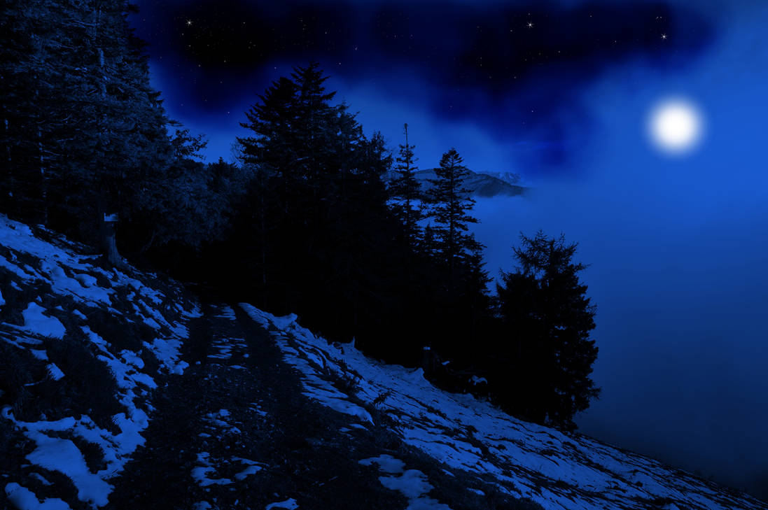 Неведомая ночь. Ночной лес. «Ночь в лесу». Природа ночью. Ночной пейзаж.