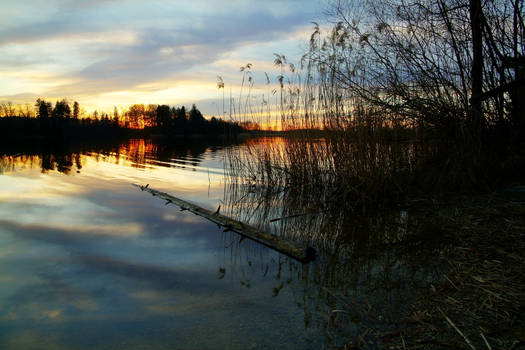 Golden Hour Lakeside